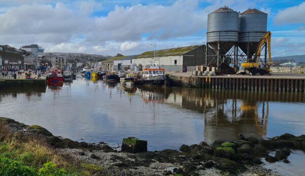 Exploring the Beauty and Heritage of Wicklow