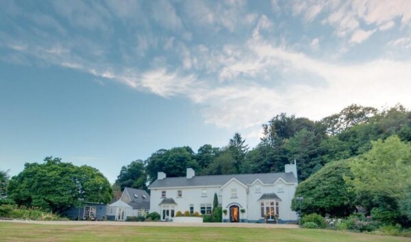 Ynyshir Restaurant: A Culinary Gem in Wales