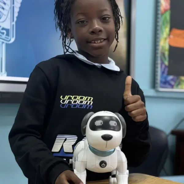 Ais: AI Data Transfer Innovations and Outlook