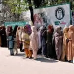 bisp — PK news