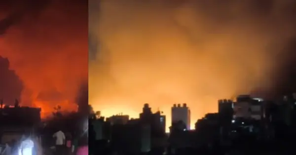 Delhi Fire: Massive Blaze at Fish Market in West Delhi