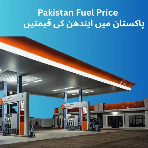 Fuel Quota Pakistan App Set to Launch for Subsidized Fuel Distribution