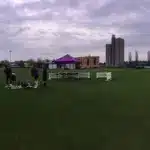 gohar shah — PK news