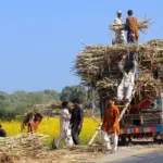 high court of sindh — PK news