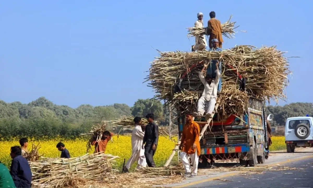 high court of sindh — PK news