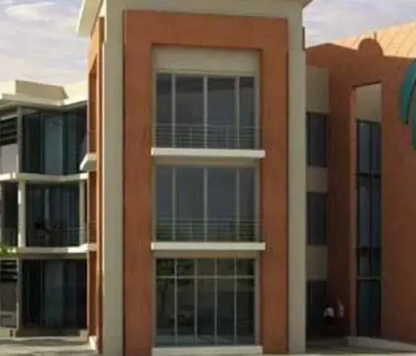 ICC Addresses Travel Delays for West Indies and South Africa Teams