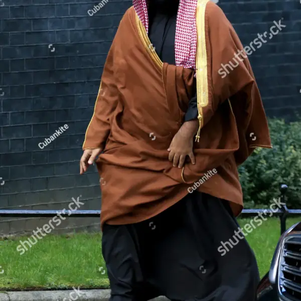 Mohammad Salman Discusses Regional Security with UAE President