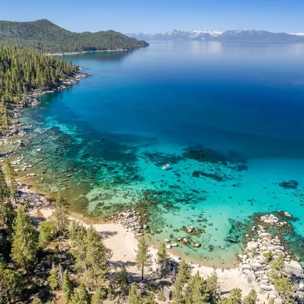 Month: A Remarkable  of Reading: February 2026