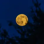 moon phase today — PK news