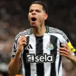 newcastle vs man city — PK news