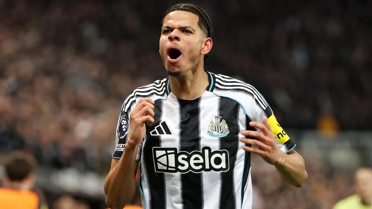 newcastle vs man city — PK news