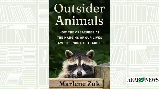 news update — PK news