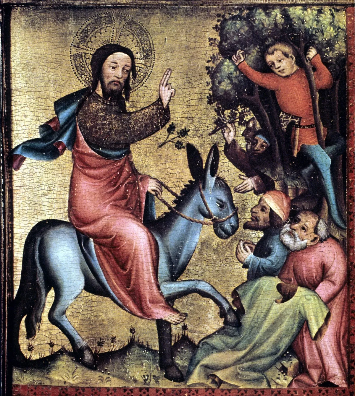 palm sunday 2026 — PK news