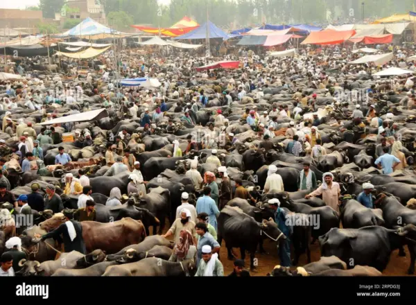 Peshawar Eid Celebrations Set for March 21, 2026