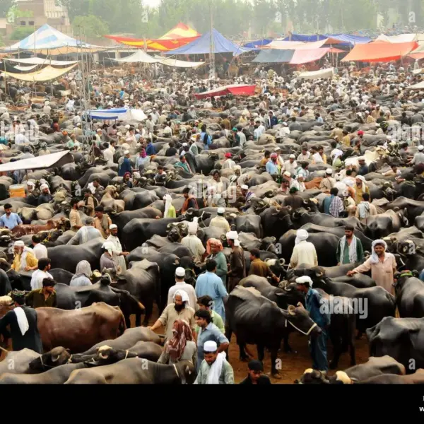 Peshawar Eid Celebrations Set for March 21, 2026
