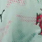 portugal fc — PK news