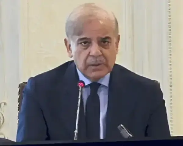 Shehbaz sharif austerity plan