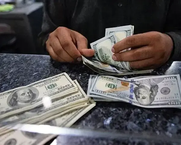 State Bank of Pakistan Reports $3.3 Billion in Remittances for February 2026