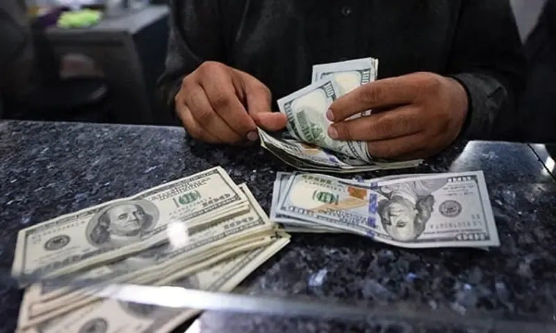 State Bank of Pakistan Reports $3.3 Billion in Remittances for February 2026
