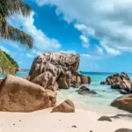 tanzania vs seychelles — PK news