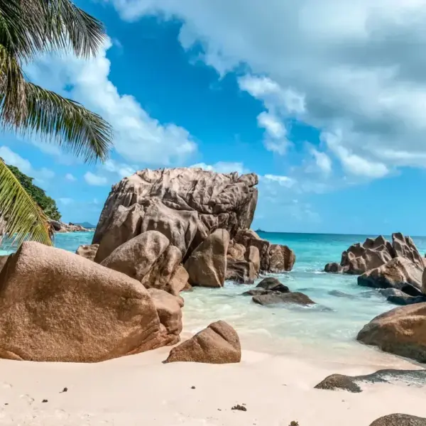 Tanzania vs Seychelles: A Crucial Match in T20 World Cup Qualifiers