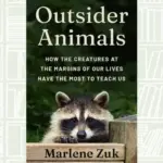 today news — PK news