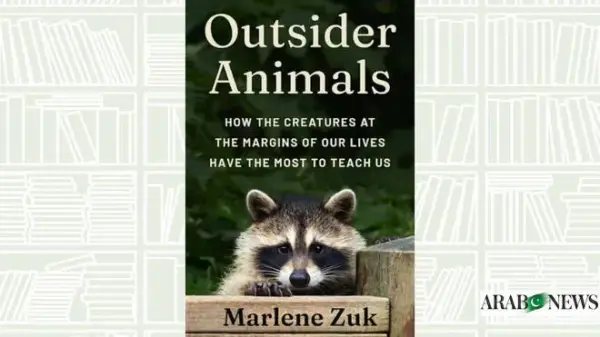 Today News: Humanitarian Aid Efforts in Lebanon Amid Ongoing Crisis