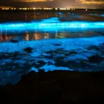 tomorrow weather — PK news