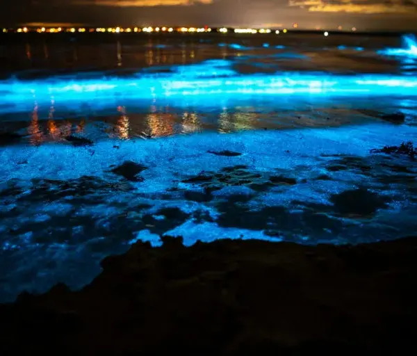 Tomorrow Weather: Calgary’s Forecast for March 12, 2026