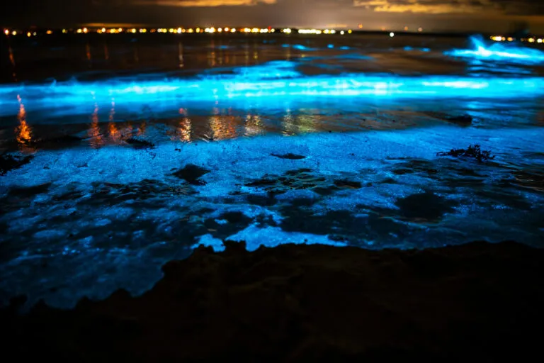 tomorrow weather — PK news