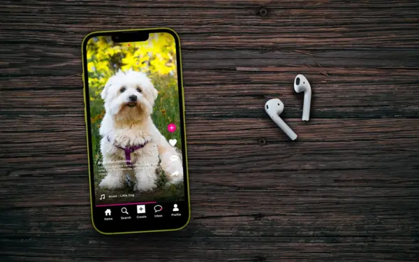 Videos video: The Impact of Short-Form  on College Students’ Procrastination