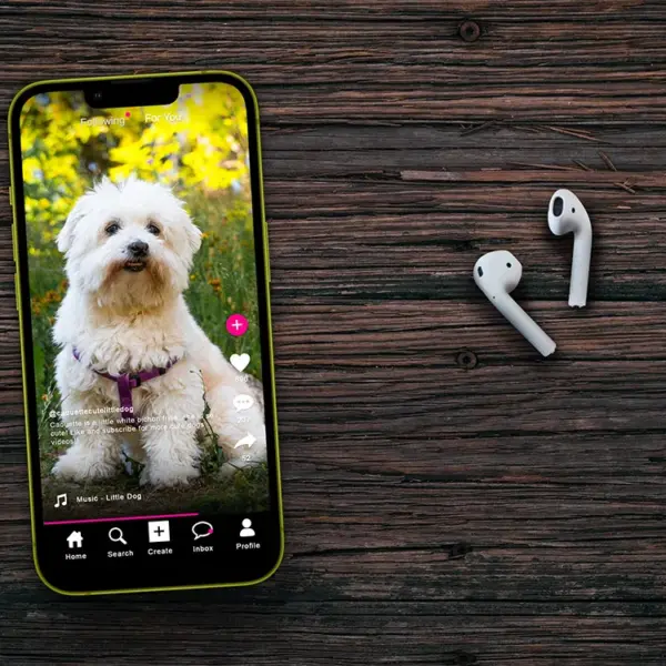 Videos video: The Impact of Short-Form  on College Students’ Procrastination