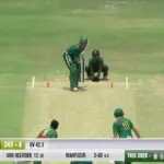 dian forrester — PK news