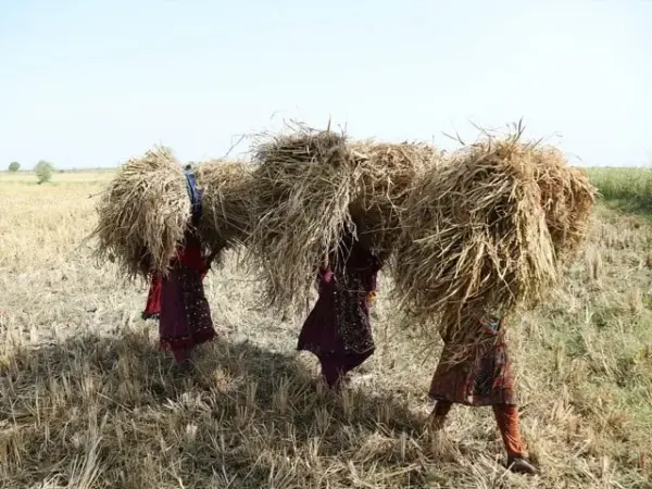 Fuel Prices Spark Protests in Hyderabad, Pakistan