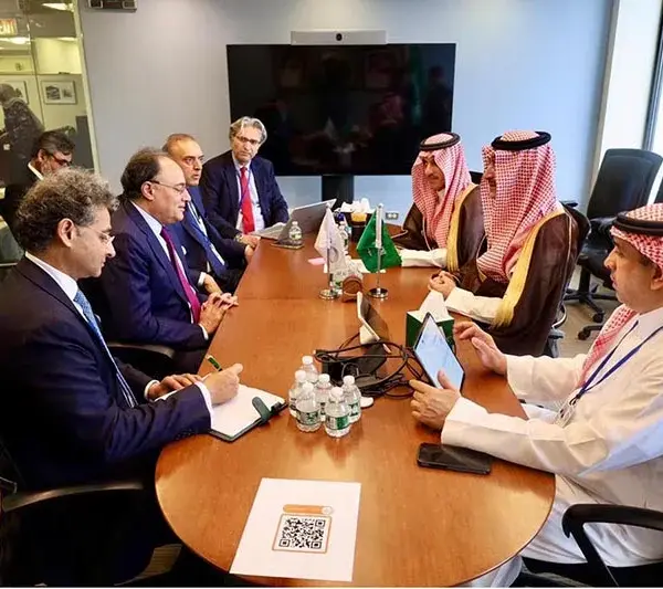 Muhammad Aurangzeb Advocates for Economic Strategies Amid Global Challenges