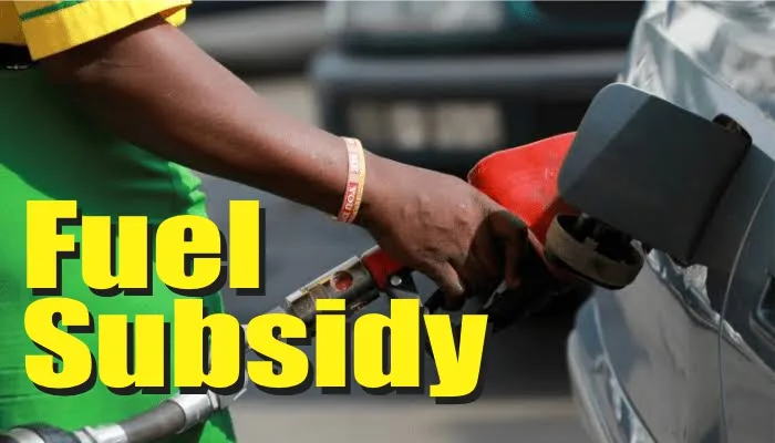 petrol fuel subsidy — PK news