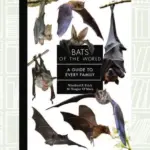 today news — PK news