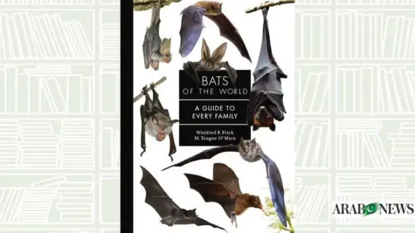 Today News: Bats and AI Updates