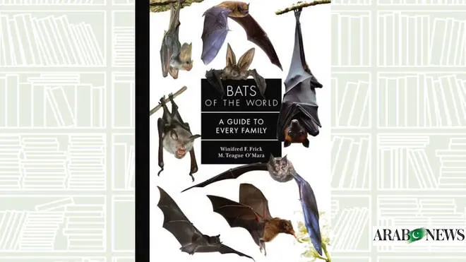 today news — PK news