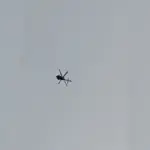 video videos — PK news