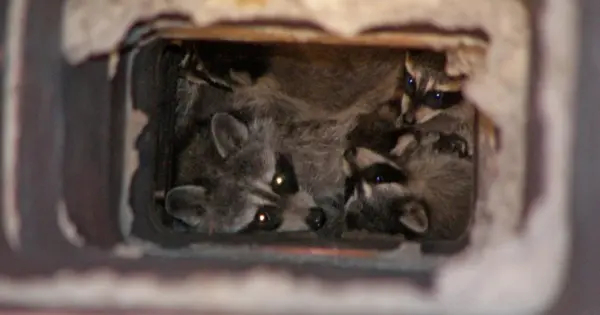 Weather Update: Maryland Faces Unseasonably Cold Temperatures and Rain