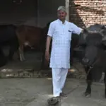 biogas — PK news