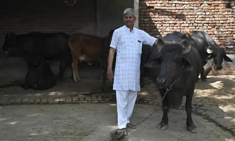 biogas — PK news