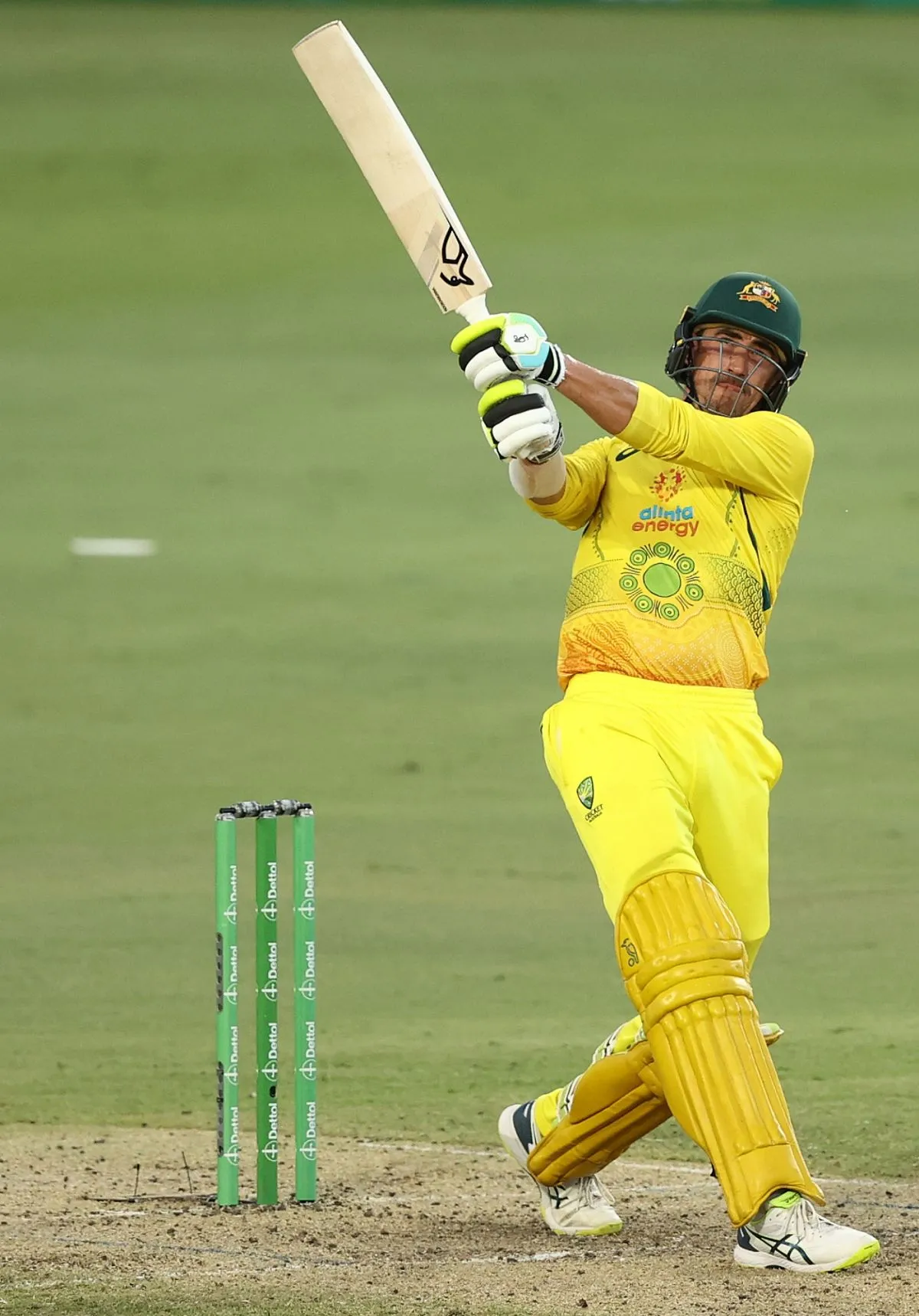 mitchell starc — PK news