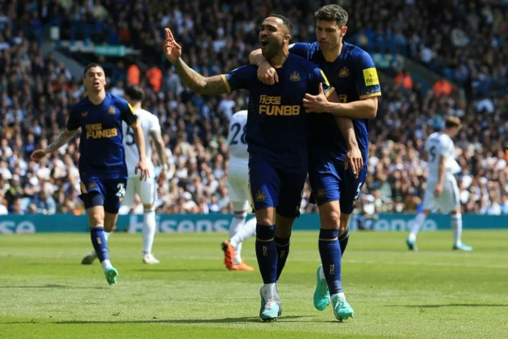 Newcastle vs brighton