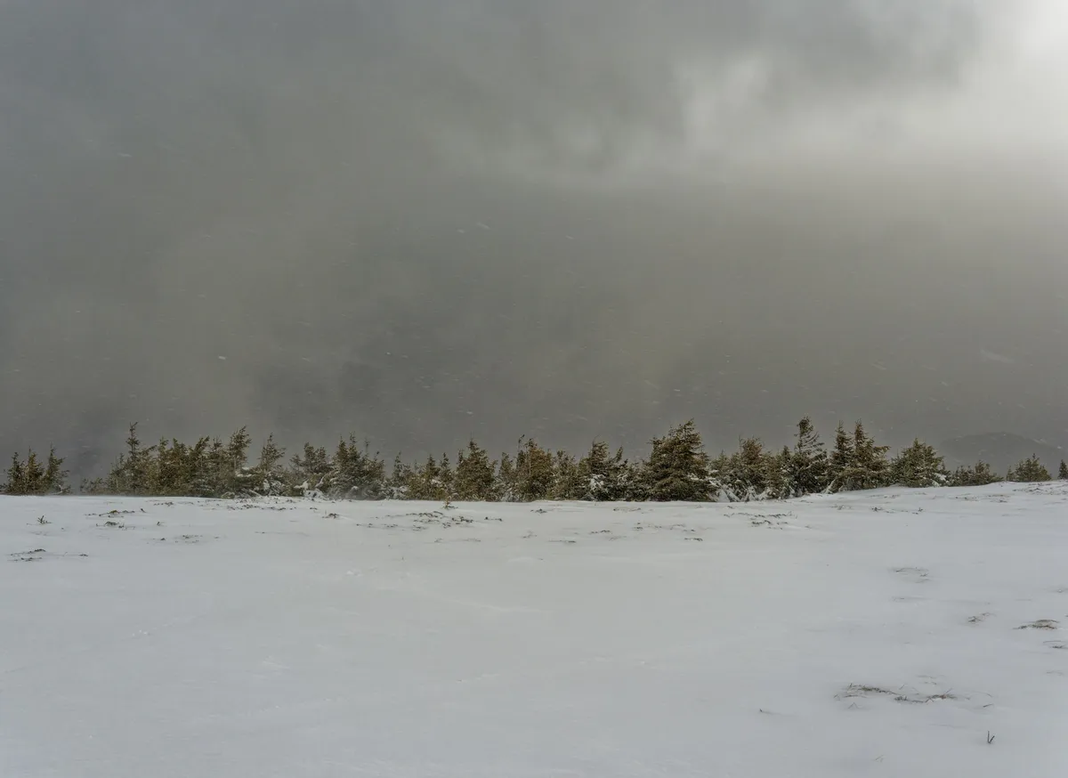 winter storm warning — PK news
